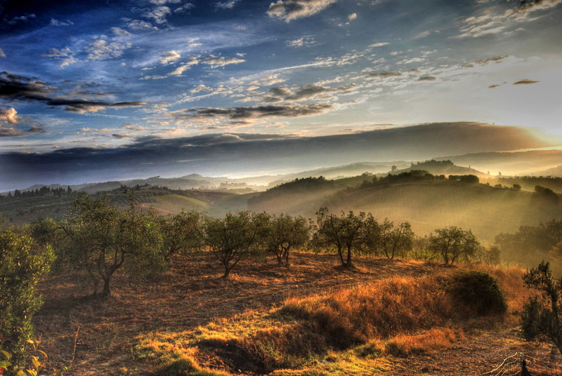 dawn, nebbia, hill, mountain, grape, rural Scene, fog, sigma, scenics, forest, chianti, sunrise - Dawn, cloud, sunlight, wine, nikon, country, toscana
