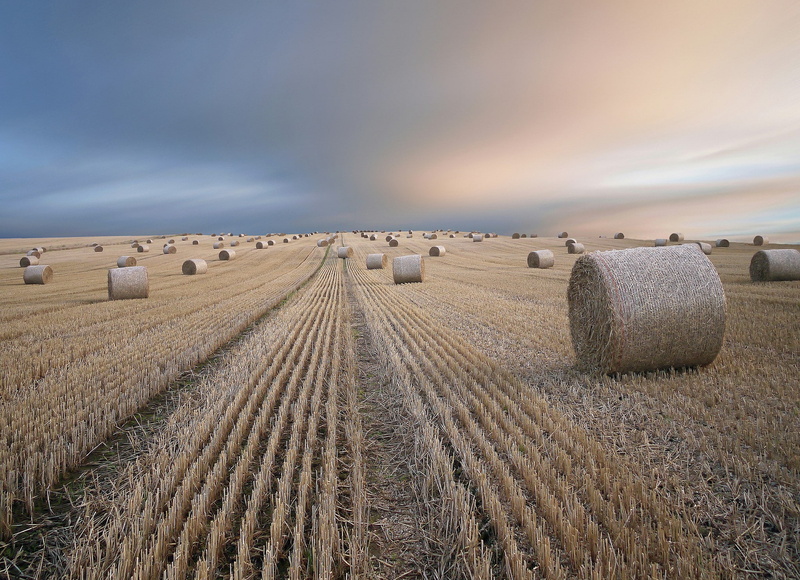 bales, 1080P, summer landscape, summer, photo, field, hay