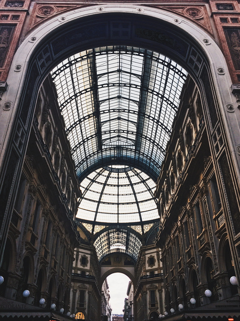 ceiling, arched, final destination, glass - material, tilting technology, regional train, shopping mall, house of worship, day, trenitalia, black and white