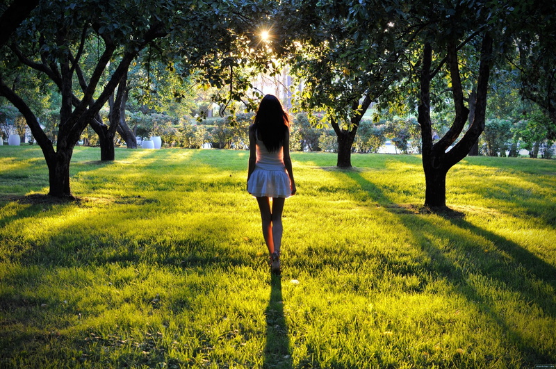 women, dress, back, nature, looking away, 2K, legs, trees, grass, Sun, park, model, women outdoors, brunette, heels