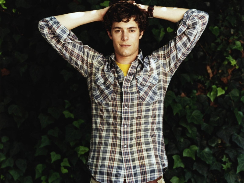 handsome, adults Only, adam brody, brown Hair, beauty, plaid shirt, smiling, button down shirt, one Person, human Face, one Young Man Only, males, gray