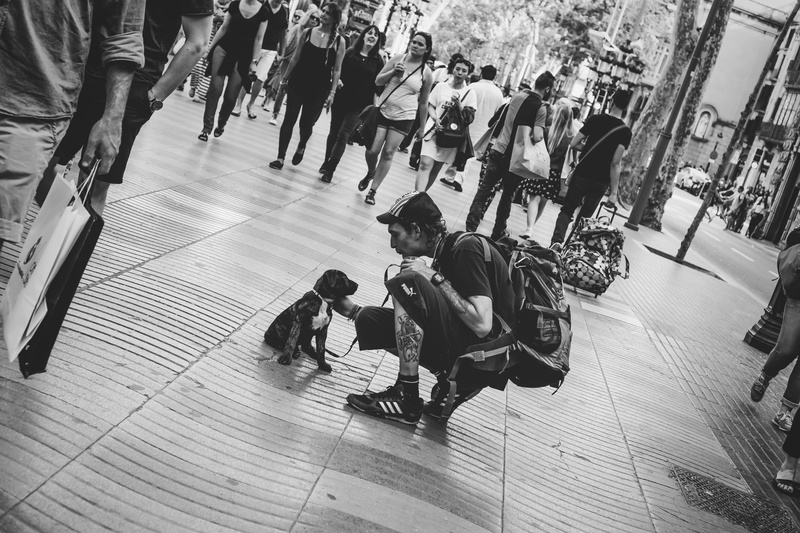 5K, dogs, portrait, bonds, adult, city life, flooring, bonding, caress, loving, movement, tattoo, barcelona, life, street, city, care, togetherness, large group of people