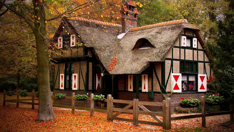 rustic, plant part, house, english Culture, leaf, brown, tree, architecture, built Structure, day, roof, travel Destinations, no people, land, autumn, paint