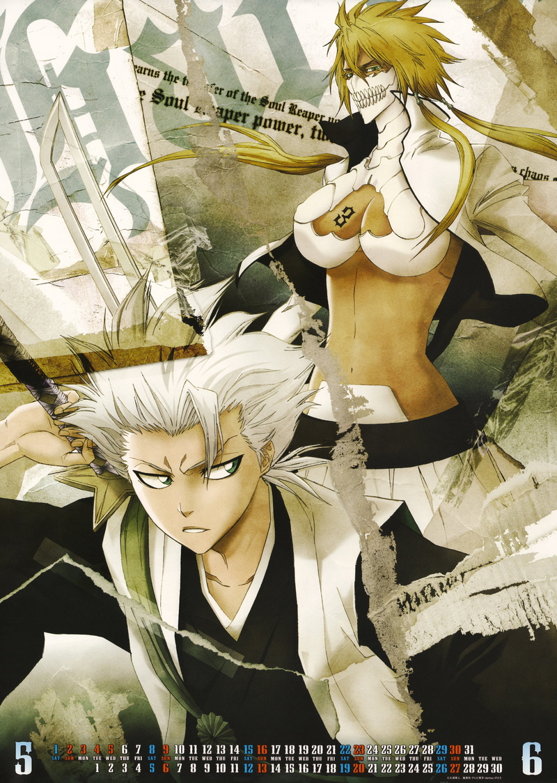 toshiro, bleach, tier, espada, 4K, hitsugaya, harribel