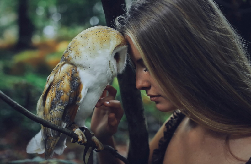 1080P, brunette, women, freckles, branch, face, closed eyes, model, Camille Rochette, owl, long hair, women outdoors
