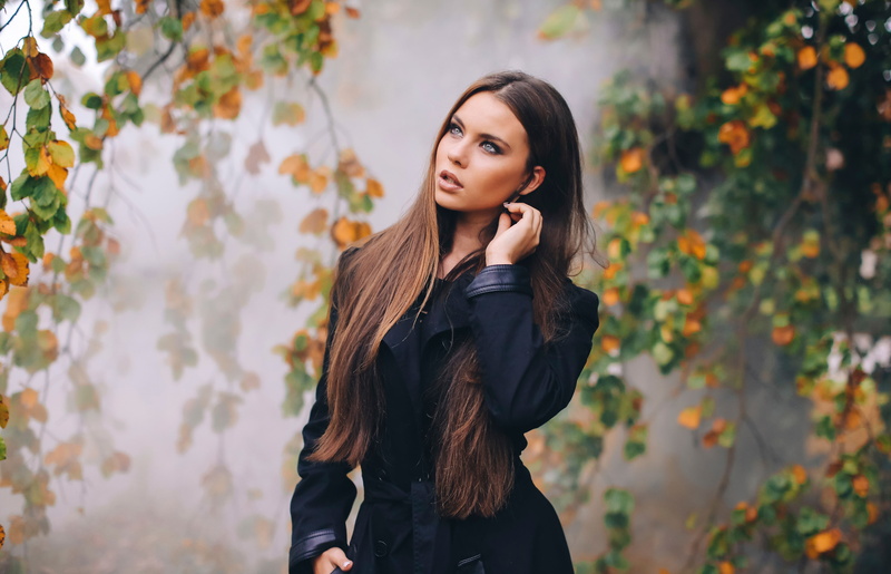 5K, David Olkarny, look, autumn, leaves
