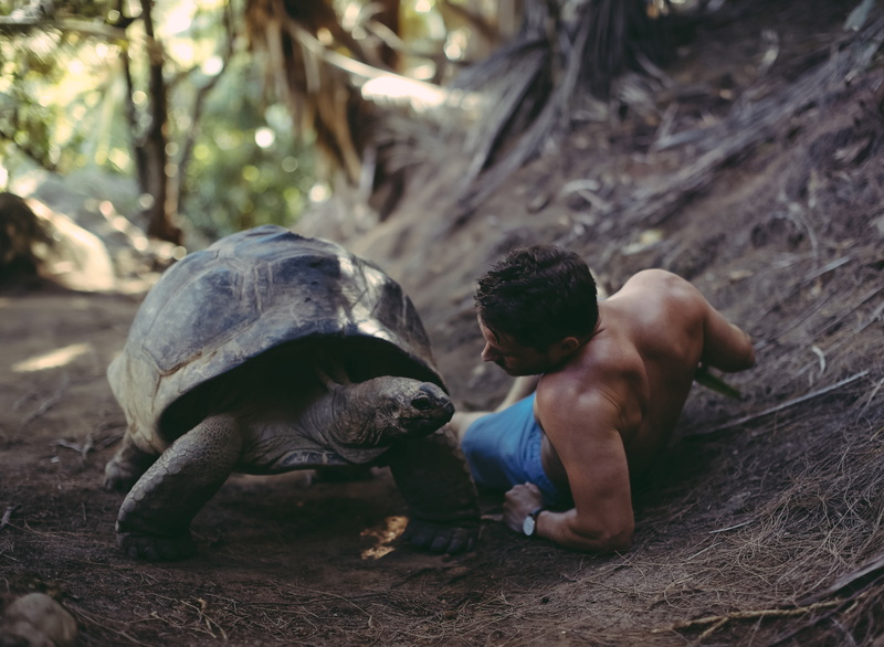 turtle, David Olkarny, guy, That was a big discussion, 5K