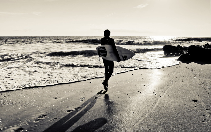 people, tropical Climate, horizon over water, exercising, tranquil Scene, beautiful, rear view, land, healthy Lifestyle, relaxation, sun, sunset, surfing