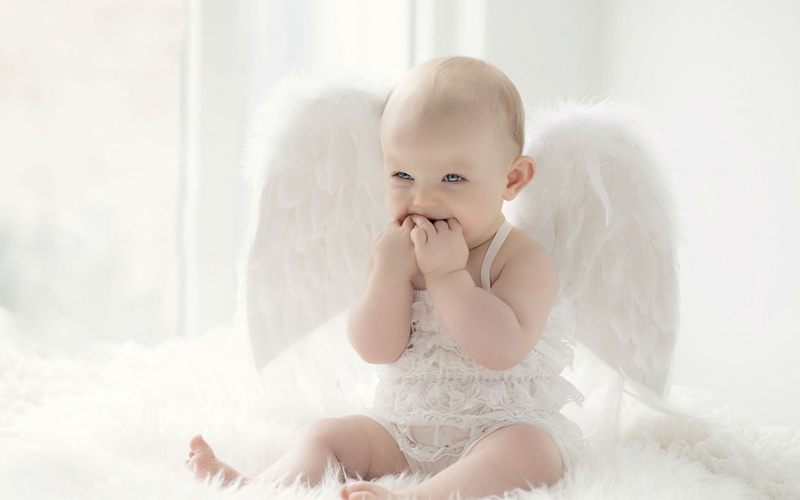 women, cute, innocence, s, indoors, young, portrait, Baby, one person, real people, white, lace, 1080P, childhood, sitting, toddler, babyhood, wings, day