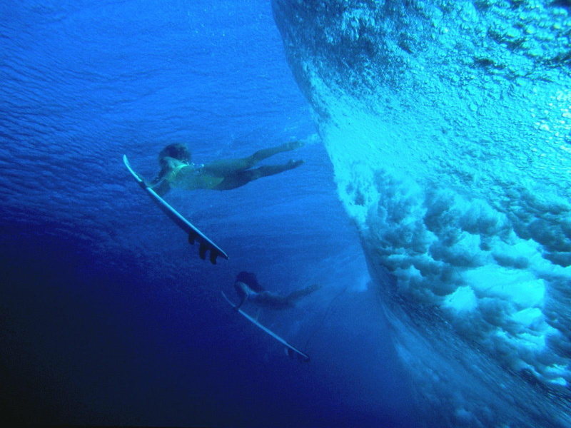 day, nature, undersea, scuba diving, blue, outdoors, adventure, sea life, animal wildlife, leisure activity, water, unrecognizable person, exploration