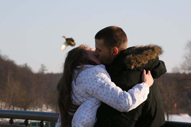 men, real people, day, vacations, animal, positive emotion, mammal, girl, young Adult, bonding, s, romance, heterosexual Couple, 4K, nature, hot kiss