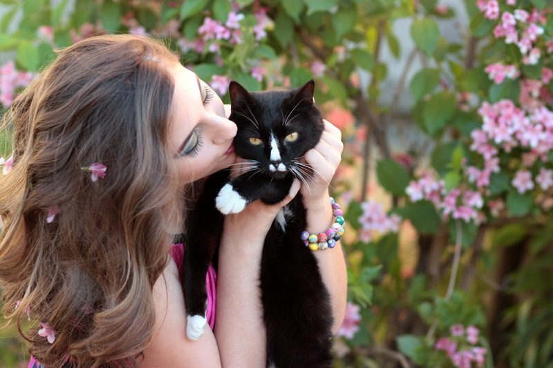 Love, domestic animals, Girl, plant, pets, portrait, furred, dog, cat, domestic cat, domestic, Cat, flowering plant, one person, hair, leisure activity