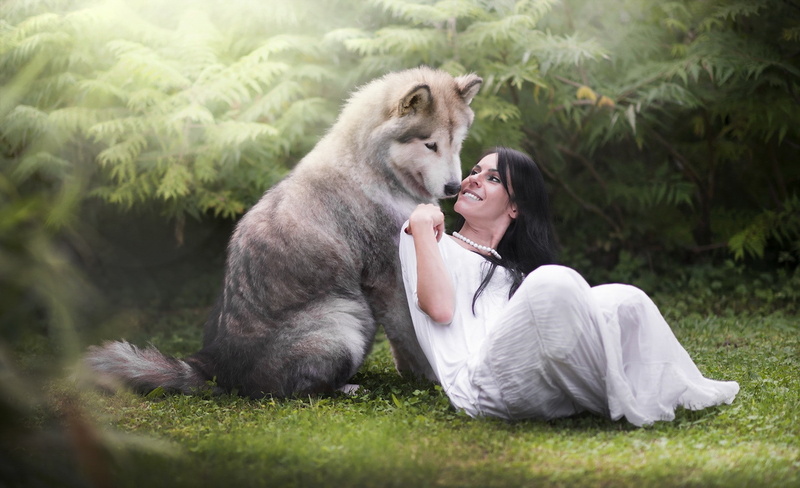 positive emotion, one person, model, pet owner, vertebrate, one animal, domestic, plant, pets, women, emotion, domestic animals, friendship, nature, day