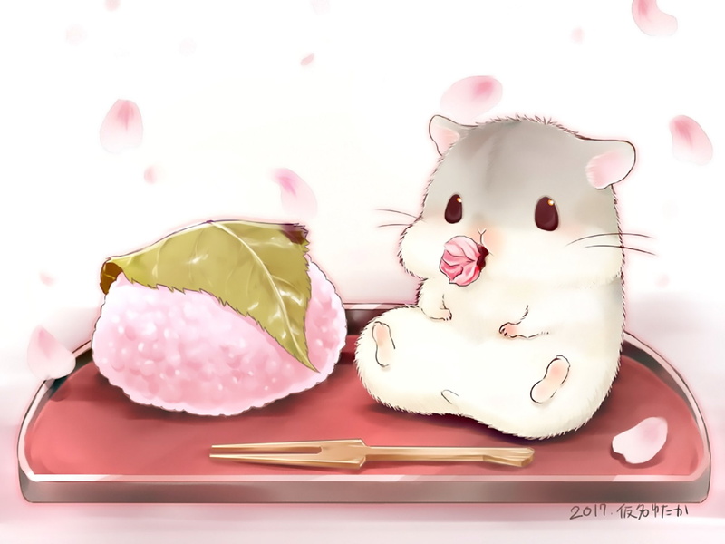 Original, 1080P, Cute, Hamster, Anime, Food