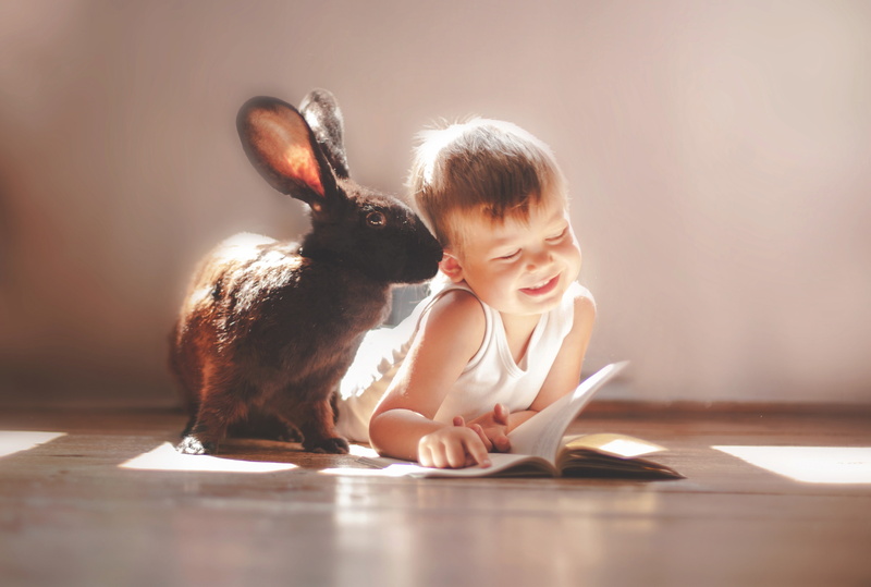 Laughter, rabbits, 4K, children
