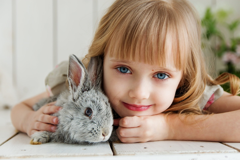 women, positive emotion, domestic, girls, rabbit, mammal, home, headshot, pets, gentle, portrait, studio, rodent, looking at camera, smiling, bangs, friendship