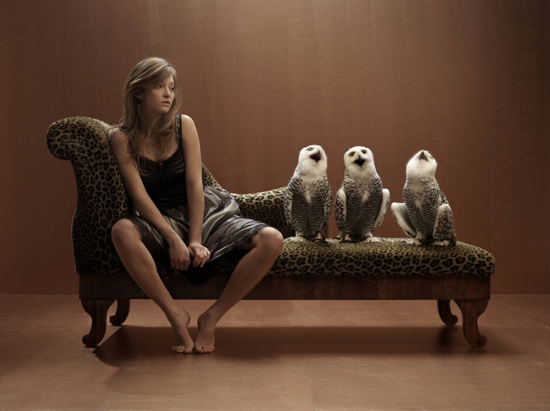 fashion, beautiful woman, full length, women, adult, portrait, young adult, young women, indoors, 1080P, owl, pet owner, sitting, vertebrate, people, hair