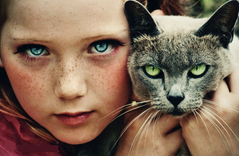one animal, vertebrate, domestic animals, real people, animals, beautiful woman, tabby, domestic, mammal, domestic cat, children, 720P, headshot, whisker