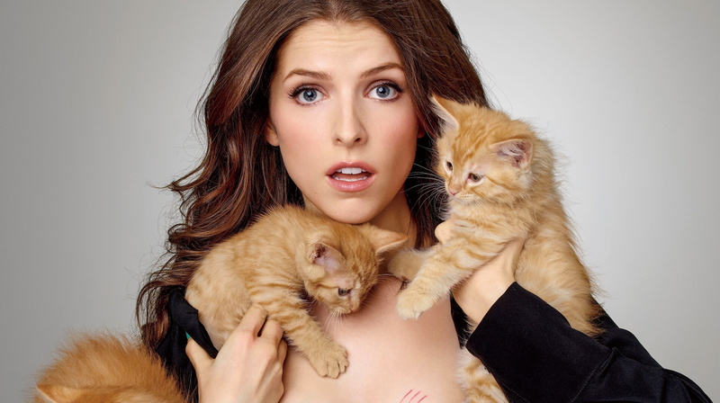 women, Anna Kendrick, actress, kittens, portrait, cat, photography, blue eyes, 4K, women with cat, brunette