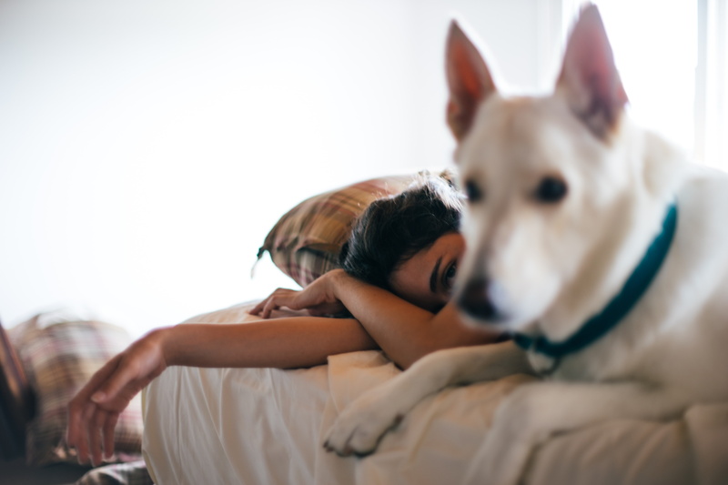 pets, 5K, domestic animals, dog, canine, animals, bed, women, indoors, Andre Pilli, domestic, pet owner, lying down, one animal, home interior, mammal