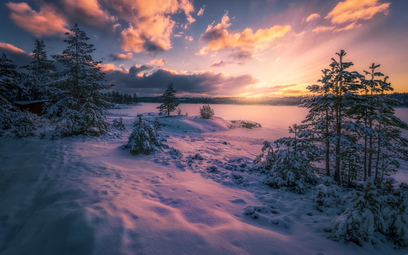 nature, winter, tranquility, cold temperature, tranquil scene, idyllic, cloud - sky, plant, sunset, snow, non-urban scene, water, Norway, scenics - nature