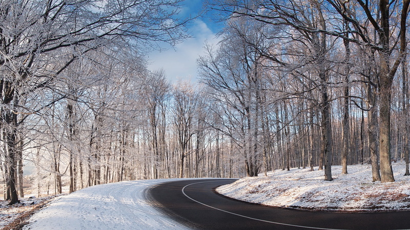 trees, lot, snow, snowy, 1080P, beige, curvy, road, drought, hd, bended