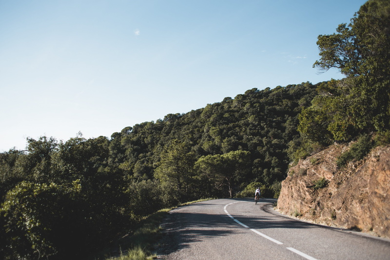 clear sky, outdoor, direction, mountains, Mountain, forest, diminishing perspective, curvy, road marking, day, growth, Sky, transportation, road, Scenic