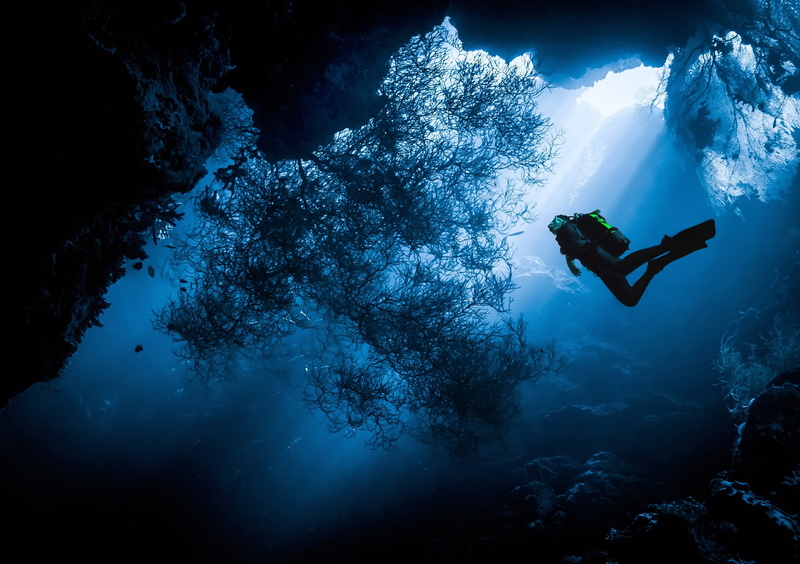 diving, outdoors, leisure activity, vacations, underwater, digital, lifestyles, real people, sea, the ocean, diver, undersea, people, nature