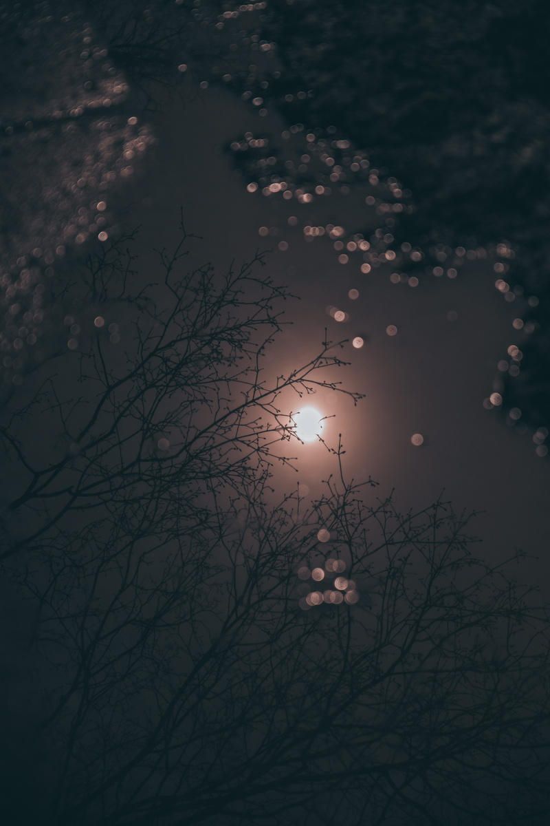 no people, scenics - nature, landscape, cloud - sky, tranquility, rain, afterrain, sunset, silhouette, sun, moon, astronomy, tranquil scene, branch, universe