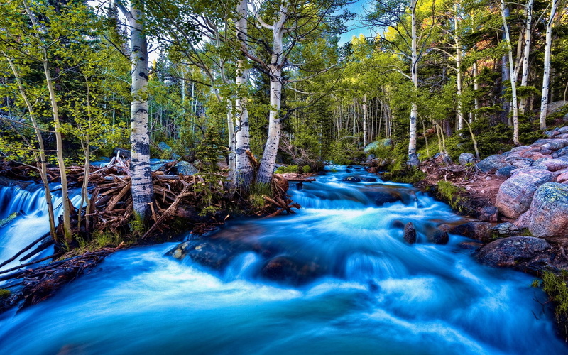 flowing, tranquility, long exposure, rock, 1080P, uncultivated, no People, landscape, summer, rapid, falling, non-urban scene, stream, river, moss, stones