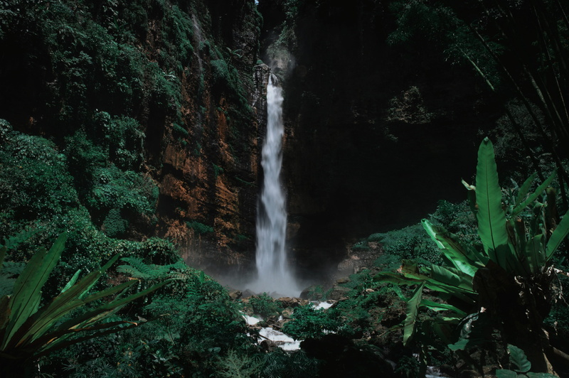 green color, plunge, power in nature, outdoor, long exposure, waterfall, solid, plant, green, beauty in nature, blurred motion, motion, nature, water, rainforest