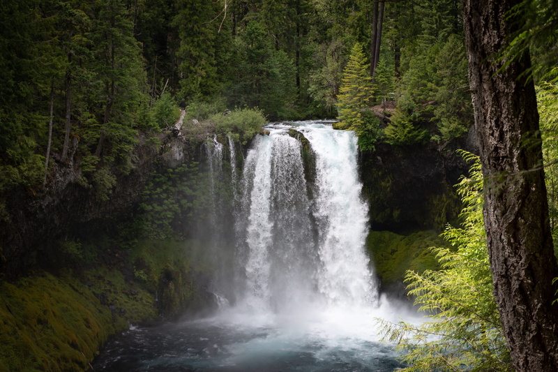 5K, long exposure, nature, plant, scenics - nature, beauty in nature, flowing, rock, environment, no people, tree, motion, flowing water, waterfalls, power in nature