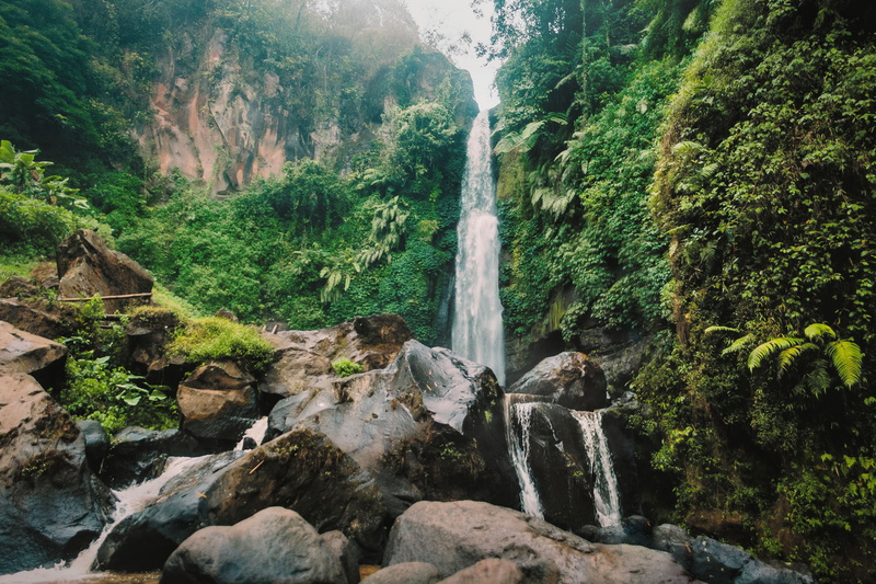 stones, plunge, plant, rainforest, waterfall, flow, trees, 5K, moss, rock, nature, motion, landscape, photography, environment, forest, water, woods, tree