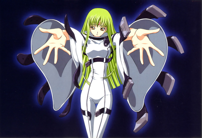 C.C., 2K, nature, animals in the wild, anime girls, skeleton, no people, night, Code Geass, bone, celebration, studio shot, representation, human skeleton