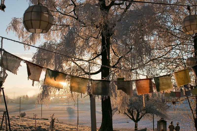 built structure, nature, sunrise, gruet, plant, winter, bare tree, morning, tibetan prayer flags, hanging, lighting equipment, building exterior, day, outdoors