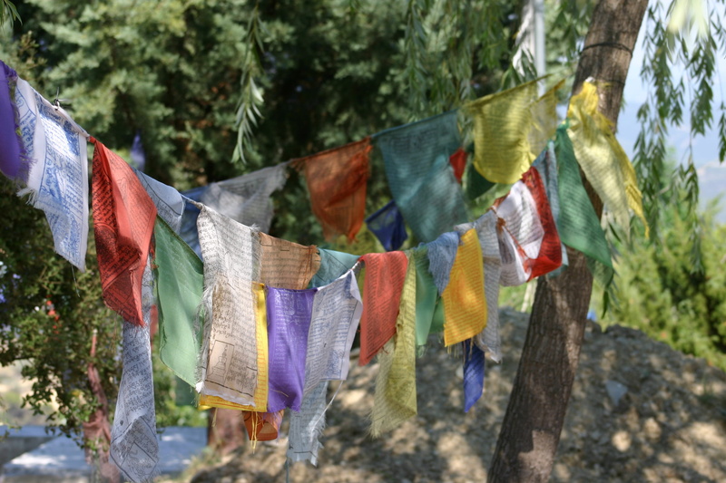 decoration, hanging, nature, plant, 2K, prayer flags, writings, fabrics, environment, wind, tree, sunlight, multi colored, design, flag, belief, textile