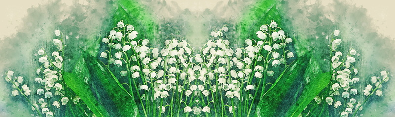 decoration, season, wood, lilies of the valley, beauty in nature, growth, freshness, fragrant, flower, frame, outdoors, wooden, vulnerability, land, botanic