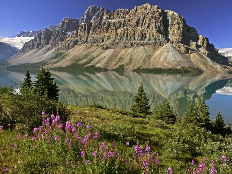 green Color, panoramic, rock - Object, glacier, formation, meadow, environment, mountain Peak, plant, coniferous tree, beauty In Nature, mountains, outdoors