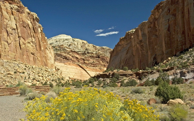 cliff, dry, geology, wilderness Area, no People, mountain Range, outdoors, tranquility, day, rock formation, tranquil scene, national Landmark, beauty In Nature