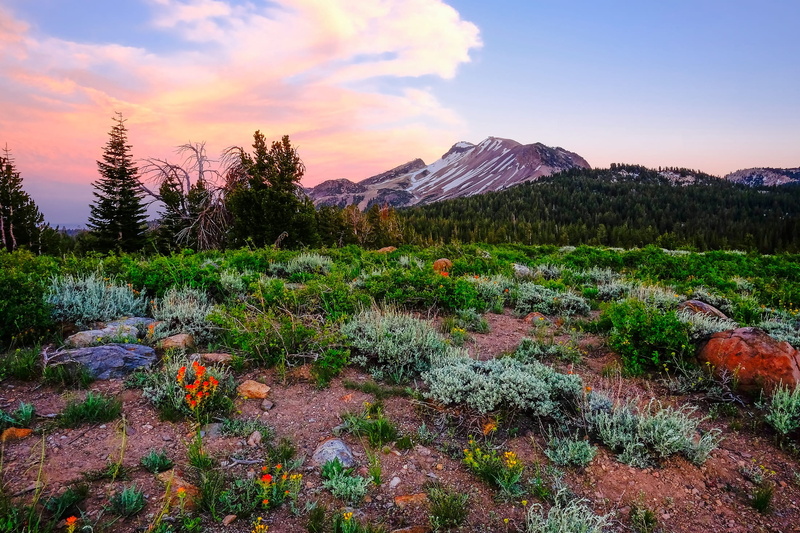 outdoors, rural, mountain peak, flowers, 1080P, meadow, wilderness, growth, no people, tranquil scene, clouds, hdr, travel, plant, non-urban scene, sunrise