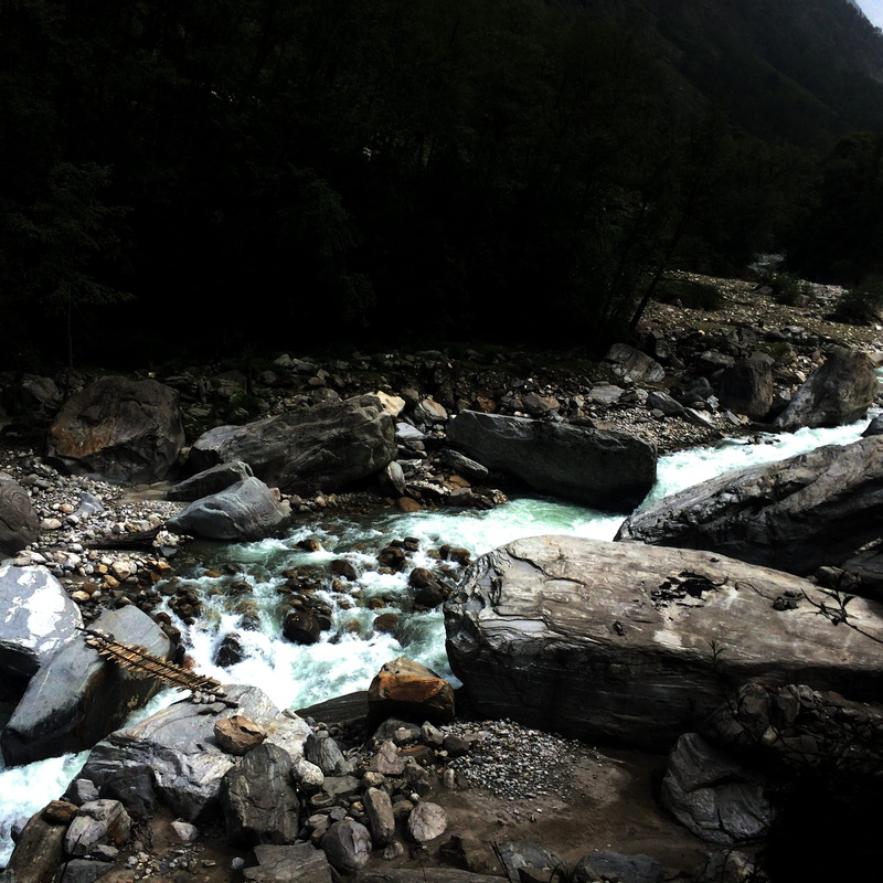 rock, flowing, boulder, tree, plant, purity, shallow, river, flowing water, pollution, solid, stream - flowing water, rocks, 1080P, beauty in nature, uttarakhand