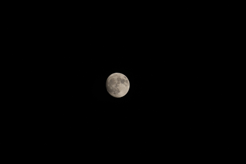 govind pashu vihar national park and sanctuary, full moon, pawani, tranquility, sky, outdoors, india, planetary moon, no people, tranquil scene, scenics - nature