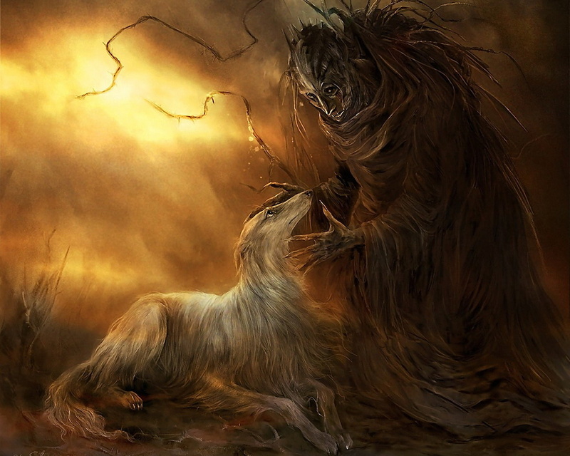 afghan, fantasy, 720P, artistic, hound, hd