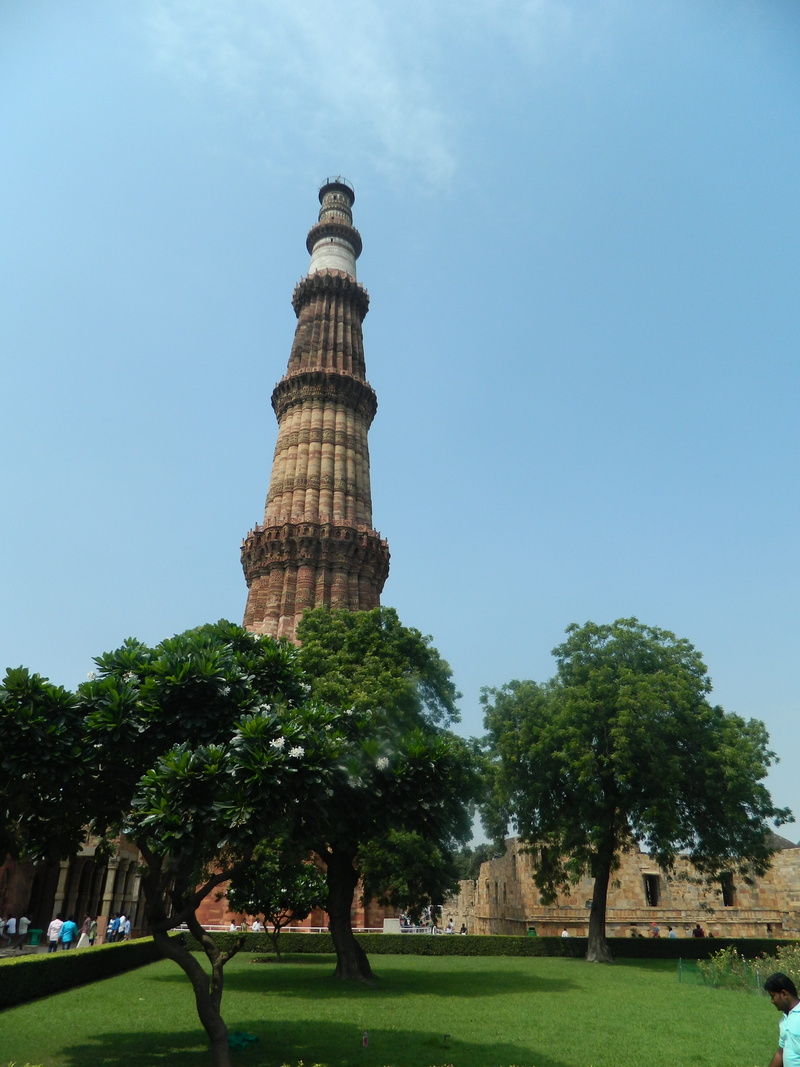 built structure, delhi, clear sky, nature, outdoors, plant, day, history, the past, tower, architecture, building, incredibleindia, tourism, grass, religion