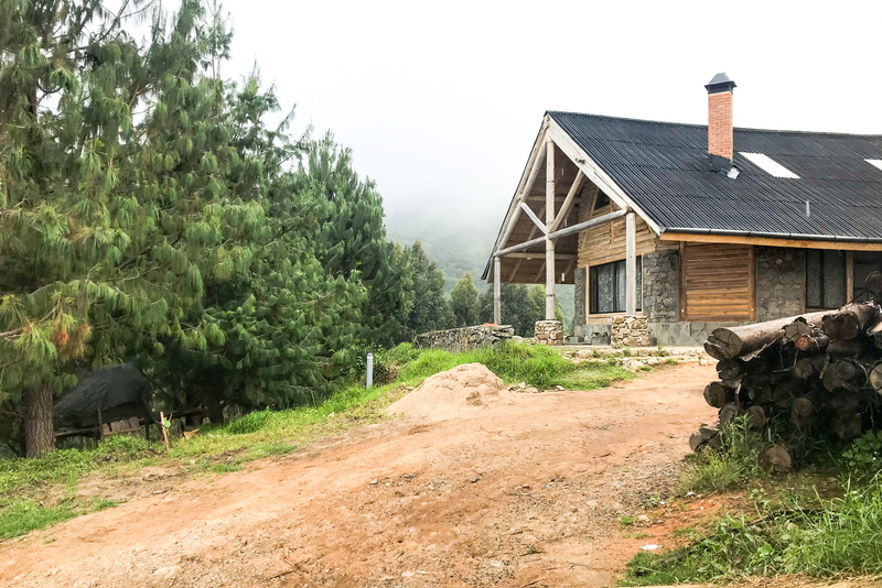 forest, 4K, resort, india, day, architecture, wood - material, barn, growth, building exterior, travel, built structure, building, agricultural building