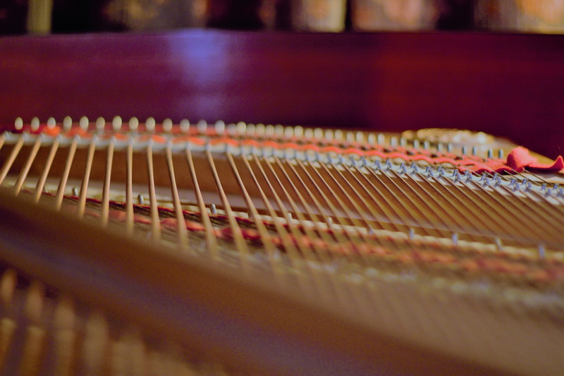in a row, technology, musical, string, indoors, focus on foreground, strings, rhythm, show, musical instrument, string instrument, selective focus, musician