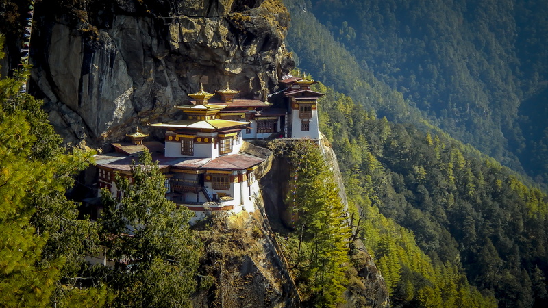 building, tree, house, day, high angle view, mountain, nature, taksang, scenics - nature, budhism, religion, tranquil scene, growth, building exterior