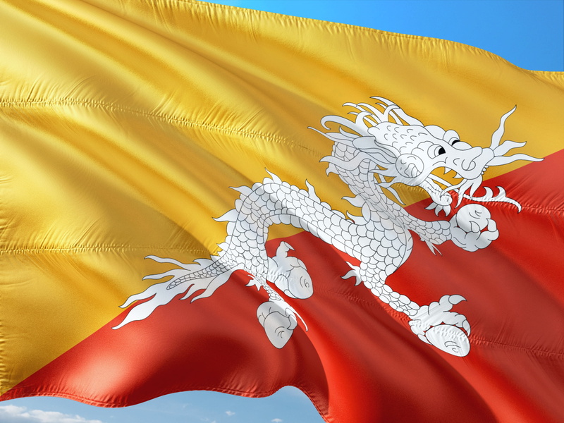 human hand, international, red, archival, flag, craft, 4K, art and craft, people, nature, mammal, pattern, arts culture and entertainment, bhutan, dragon