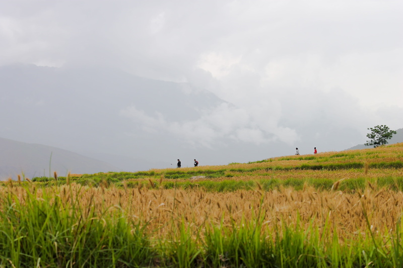 environment, clouds, himalayas, outdoors, field, tranquil scene, landscape, grass, mountains, land, cloud - sky, sky, fields, farm, rain, tranquility, nature