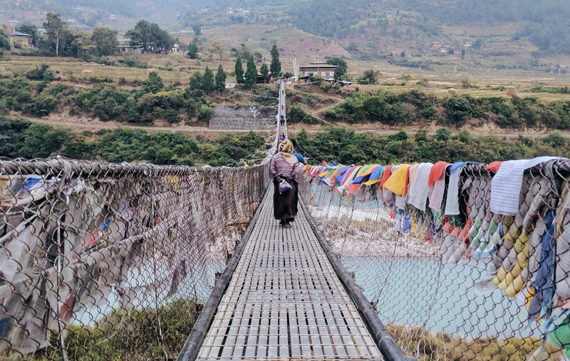 path, suspension bridge, track, oars, solo, plant, multi colored, 2K, walking, mountain, tree, drying, no people, symmetry, building, bhutan, transportation
